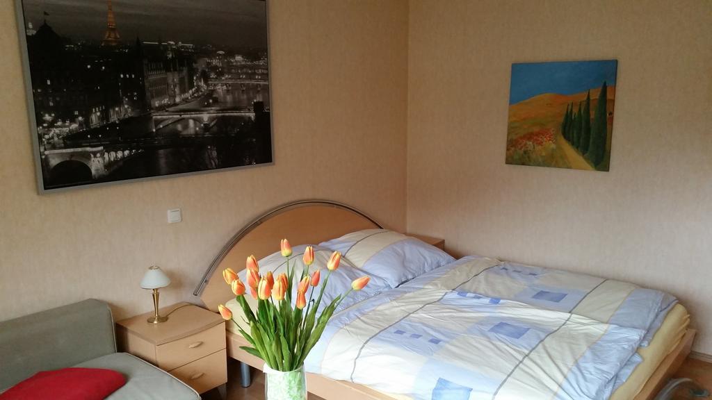 Wellness Apartments Sophienhoehe Am Teich Мехерних Номер фото